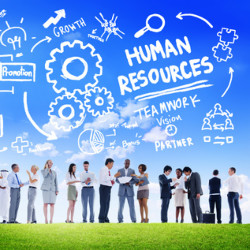 human resources duties and responsibilities resume