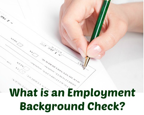 All About The Employment Background Check