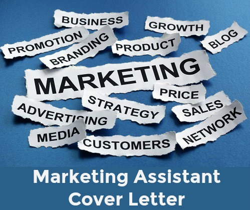 marketing assistant application letter