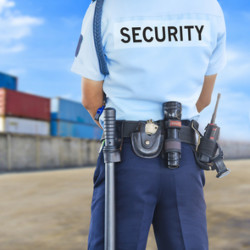 example of resume objective for security guard