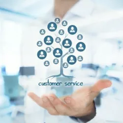 good objective for resume customer service