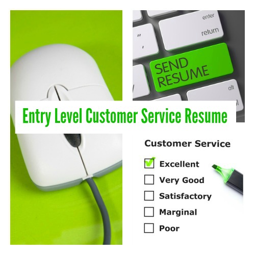 entry level customer service resume summary